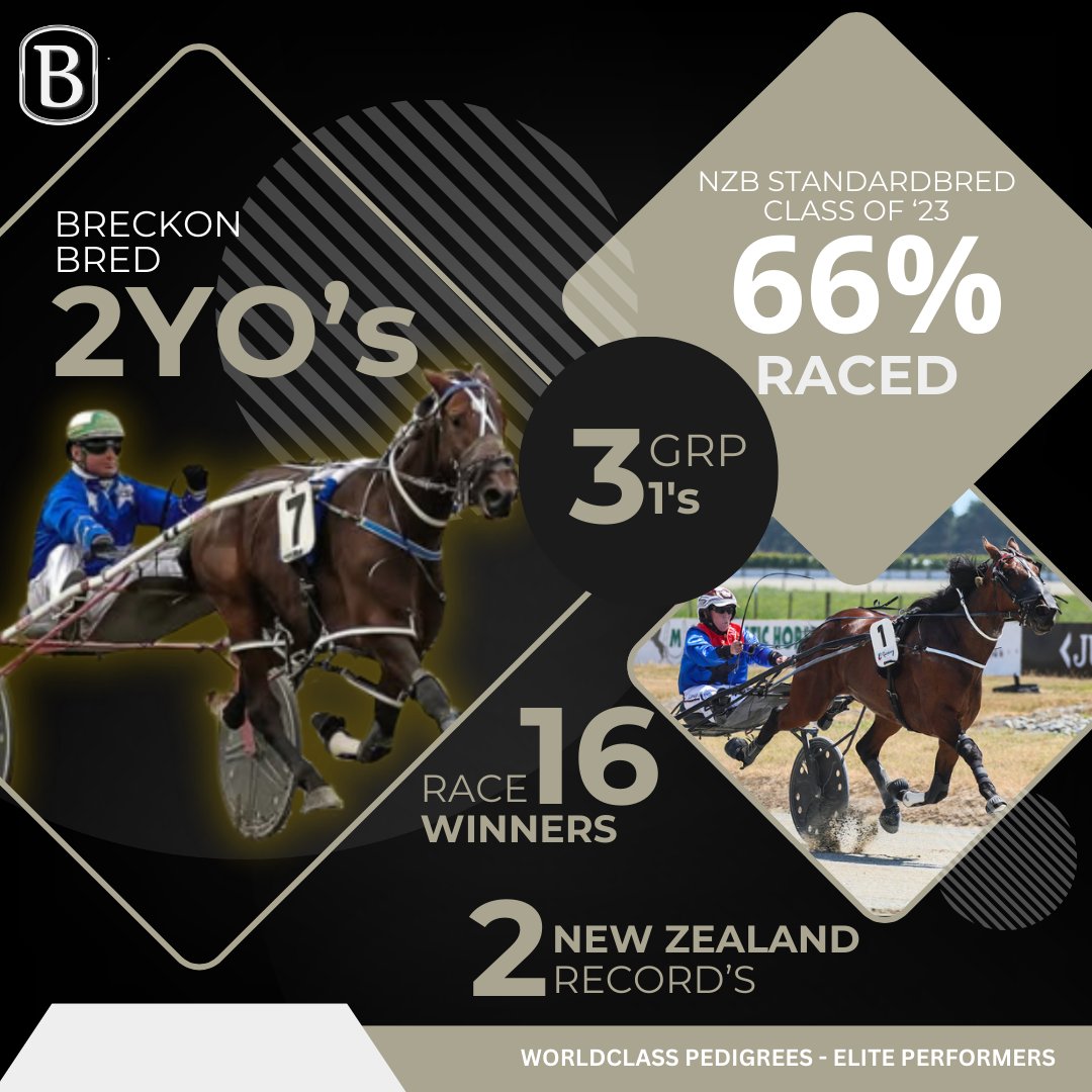 Breckon Farms (@BreckonFarms) / Posts / X