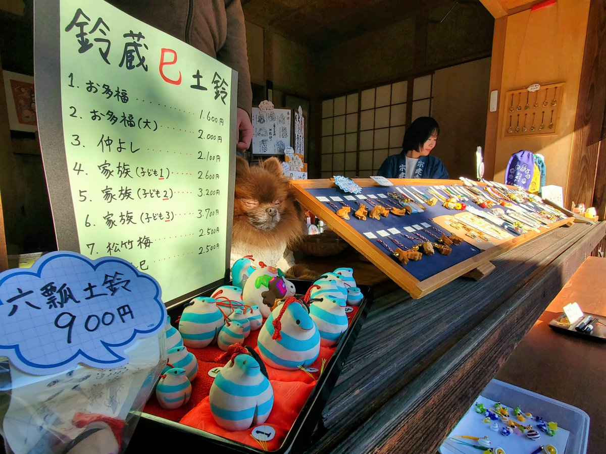 ryan0610's tweet photo. 元旦から本日まで見事に店番をこなしました
触ってくれた方々、大変ありがとうございました
本犬もご満悦です
#ポメラニアン #犬 #pomeranian #dog #チョコポメ #ふわもこ部 #犬のいる暮らし #青梅七福神 #宗建寺 https://t.co/mzdpIqMz4S