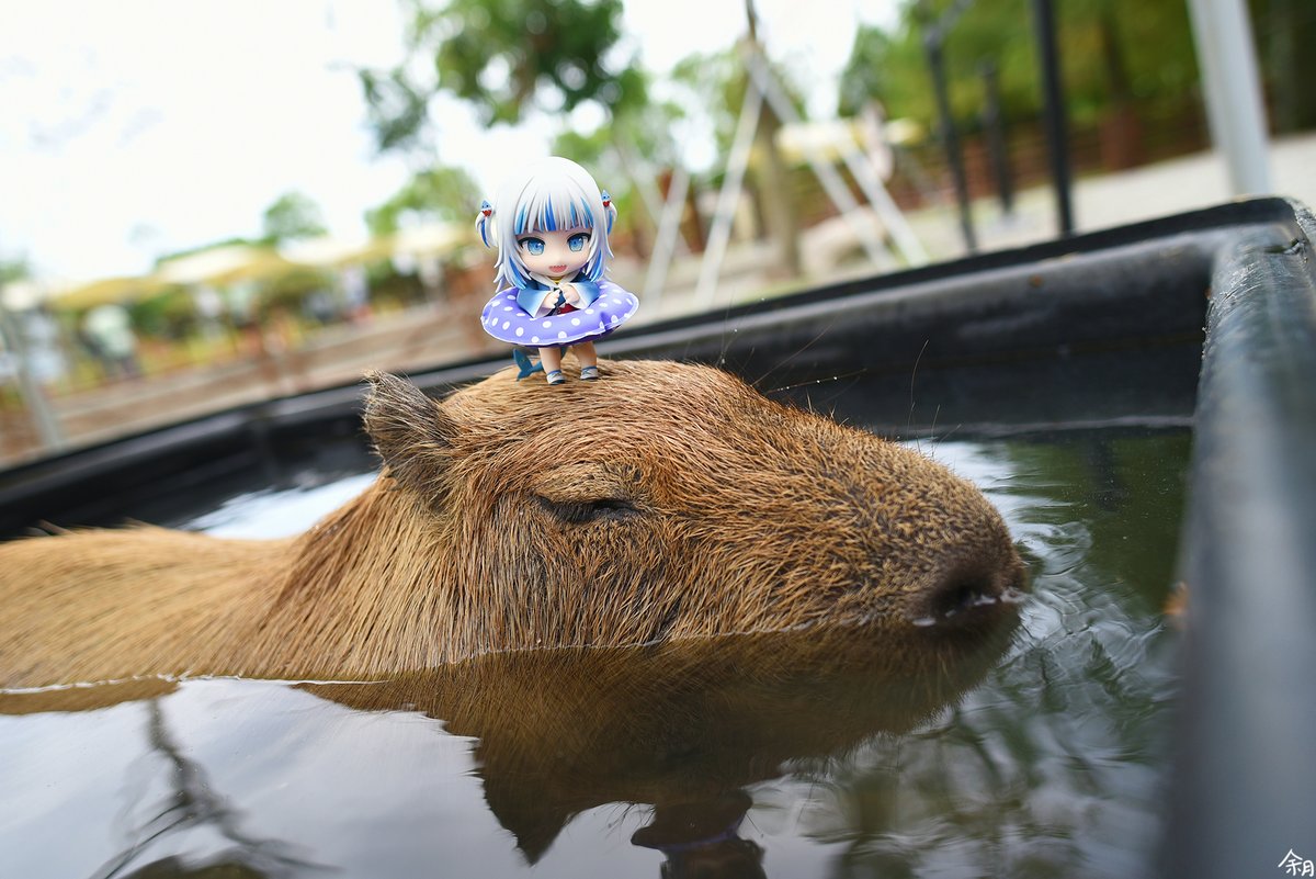 NCnendoroid's tweet photo. 羅東 斑比山丘 水豚
#nendoroid https://t.co/2HHMeL3xPI