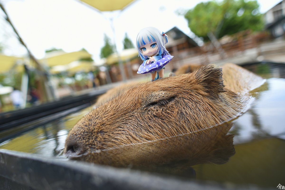 NCnendoroid's tweet photo. 羅東 斑比山丘 水豚
#nendoroid https://t.co/2HHMeL3xPI