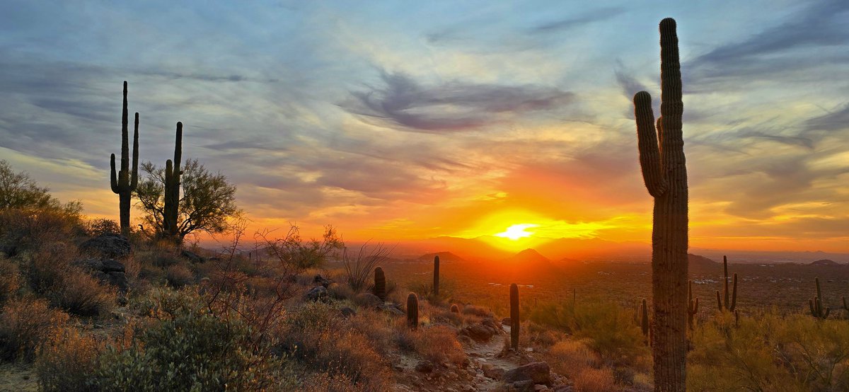 Johnny Raven 𓄿 🄹$🅁🅅🄽 tweet media