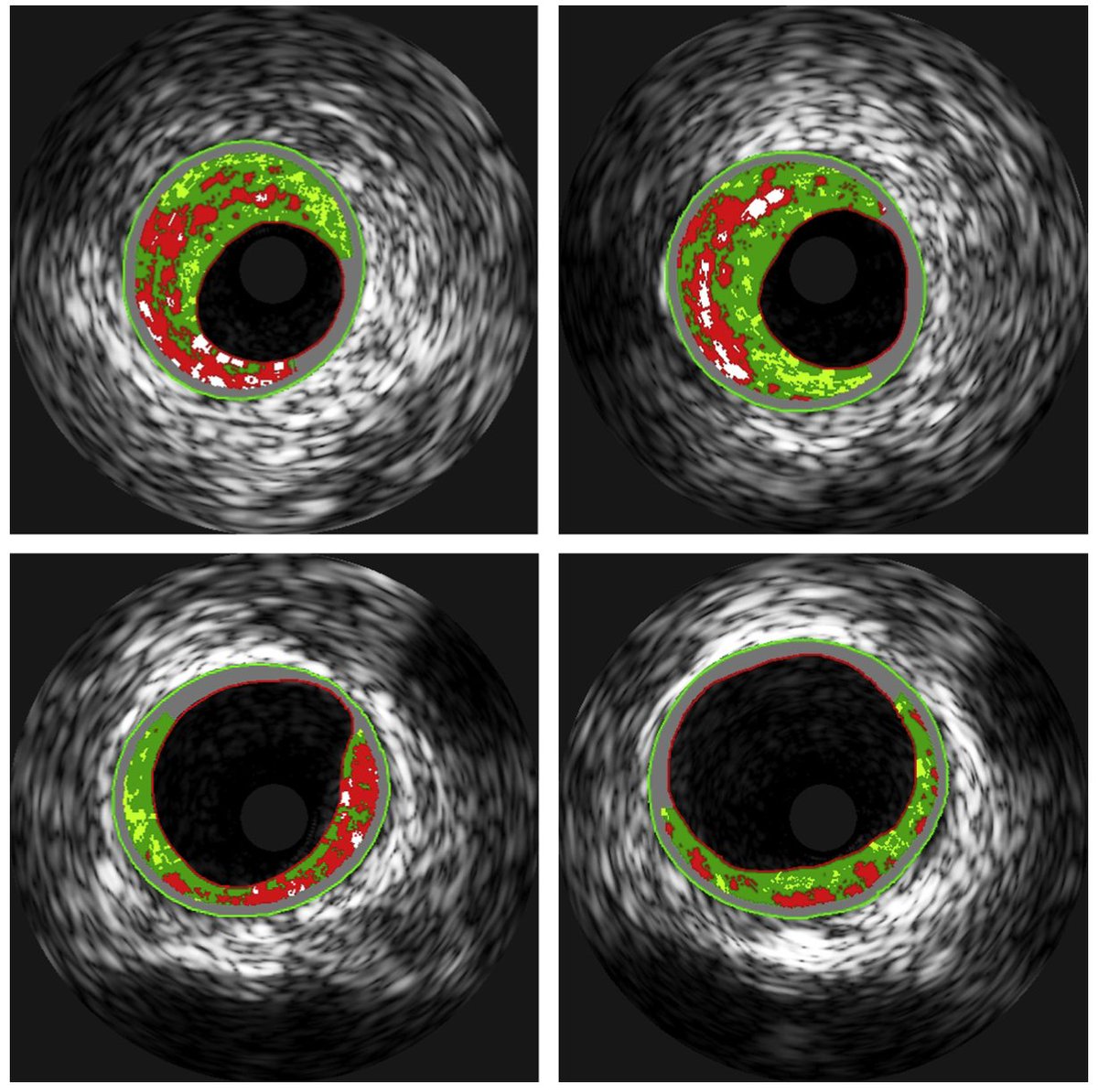 Dr Paddy Barrett tweet media