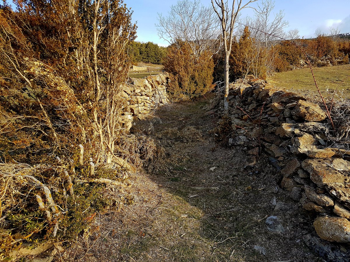 carlosguardia10's tweet photo. El camí del coll de Pimés: una via de comunicació internacional (Urgellet-Sant Julià de Lòria, Andorra) documentat cartogràficament, almenys, des del 1718. Una mostra del viari públic tradicional del Pirineu.
#recerca #camins #Pirineu #publicrightsofway https://t.co/dxlsvqS9u9