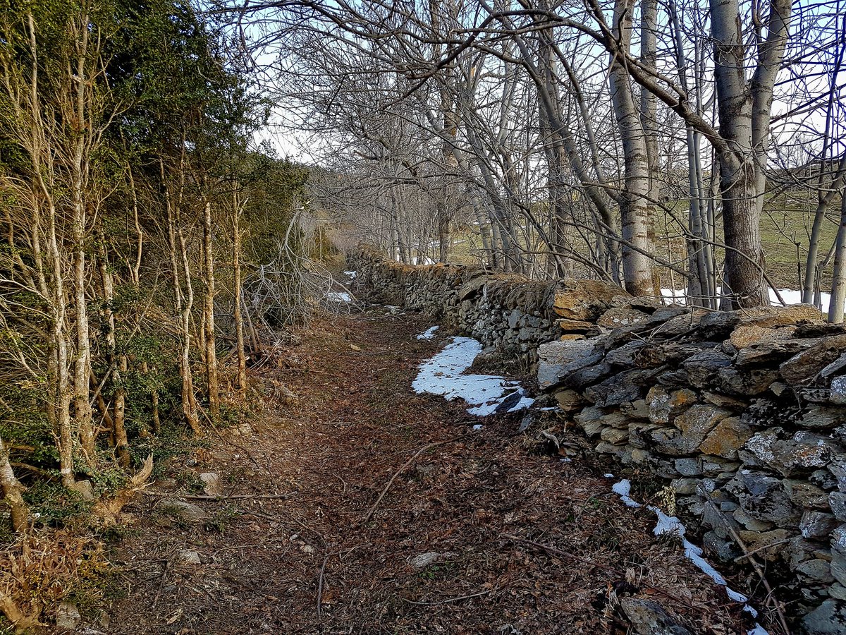 El camí del coll de Pimés: una via de comunicació internacional (Urgellet-Sant Julià de Lòria, Andorra) documentat cartogràficament, almenys, des del 1718. Una mostra del viari públic tradicional del Pirineu.
#recerca #camins #Pirineu #publicrightsofway
