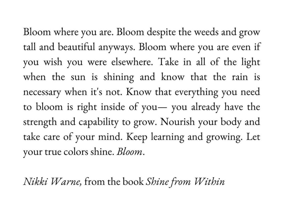 Nouftg's tweet photo. bloom 🌸 https://t.co/hExNJUTpU7