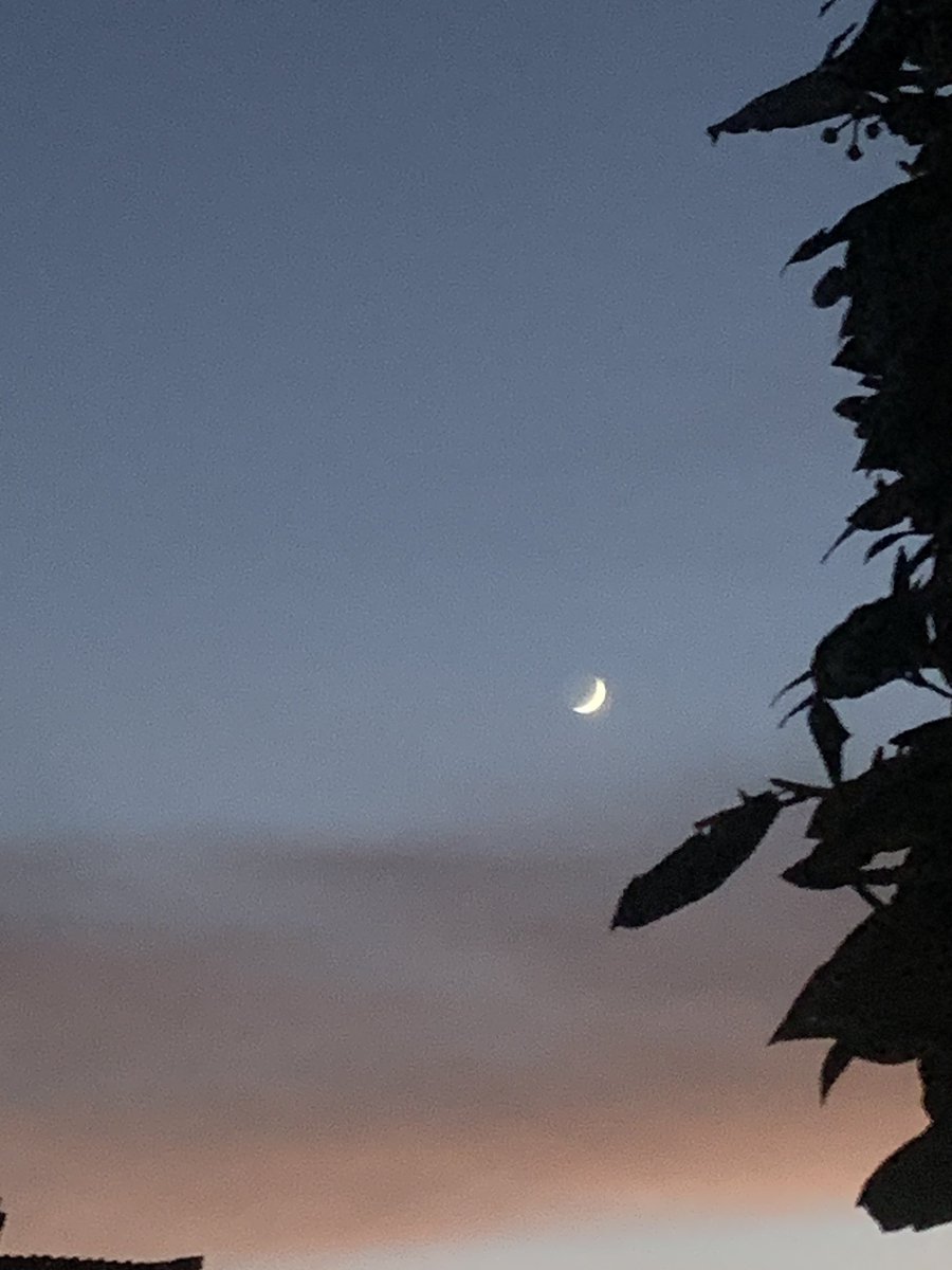 Miray Öztürk (@cocochannel0101) on Twitter photo 