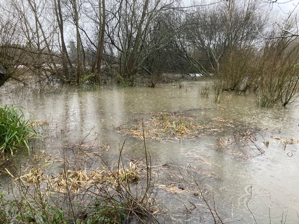 ⛔️RESERVE CLOSED⛔️ 

Unfortunately the heavy overnight rain has already reached the millpond and the hides and trails are flooded. We hope to be back open tomorrow and will update first things on Monday 6th.

Happy New Year to all our visitors