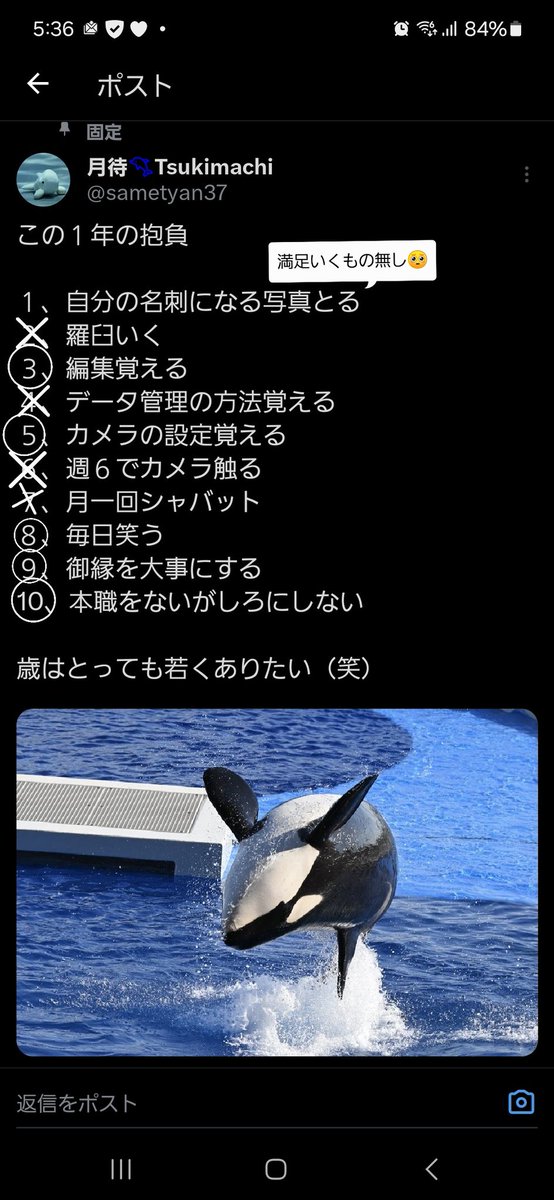 月待🐬Tsukimachi tweet media