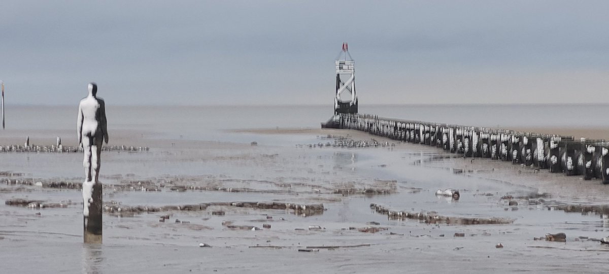 Steve Mulville🐶🌞☔️☁️☃️🌈⚽️💙 tweet media