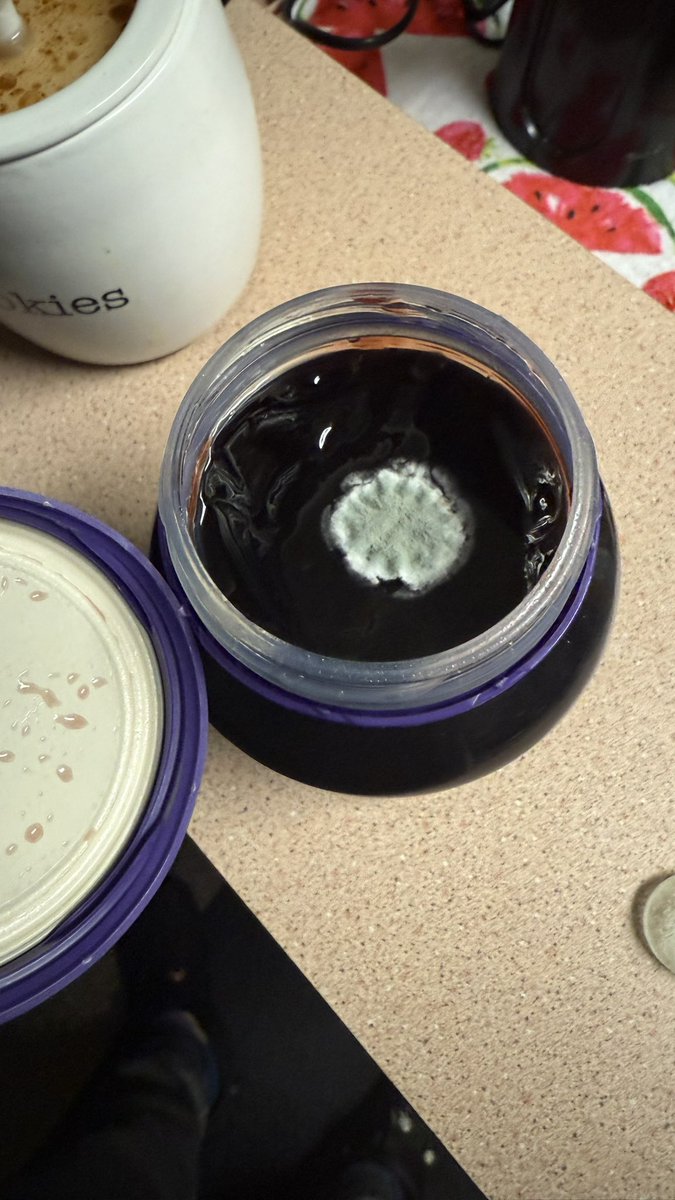 _JHURTZ's tweet photo. @Welchs this was bought at Walmart. The seal was still whole not check out what we found inside. Some kind of moldy growth.. No PB&amp;J for me.. https://t.co/xiYPnFHiAT