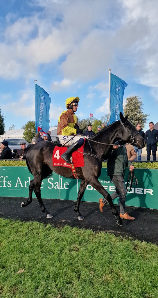 🇮🇪 IF PAUL TOWNEND RIDES A TREBLE ON JASMIN DE VAUX, JOYSTICK &amp; ILE ATLANTIQUE For WILLIE MULLINS Today: 😍

I'll give £100 CASH to One of YOU Lucky People Tonight! 🍻 💷

To Enter: 👇

1️⃣ RT This Tweet
2️⃣ Like This Tweet
3️⃣ Follow <a href="/racingblogger/">Stephen R Power</a>

GOOD LUCK EVERYONE 💷 

#Naas
