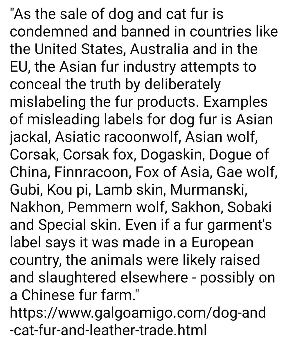 WeAreNotFood's tweet photo. These #catfur vests are intended for China’s internal market, but cat and dog skins and furs are exported to other countries, too.

#wearenotfur #furtradedeathtrade #illegaldogcatfurtrade #catslivesmatter #stopfur #banfur https://t.co/x7qKYI5XYf