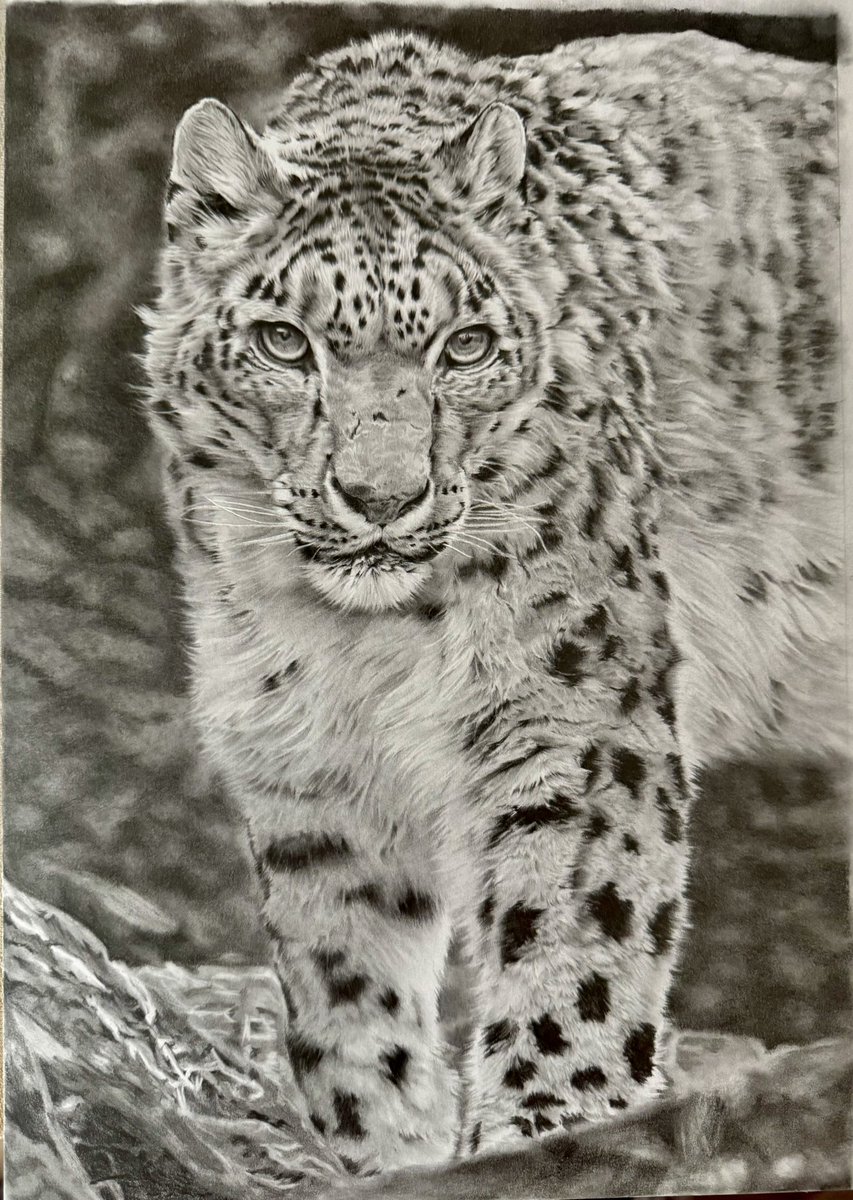 chihiro (@chihiro32757864) / Posts / X