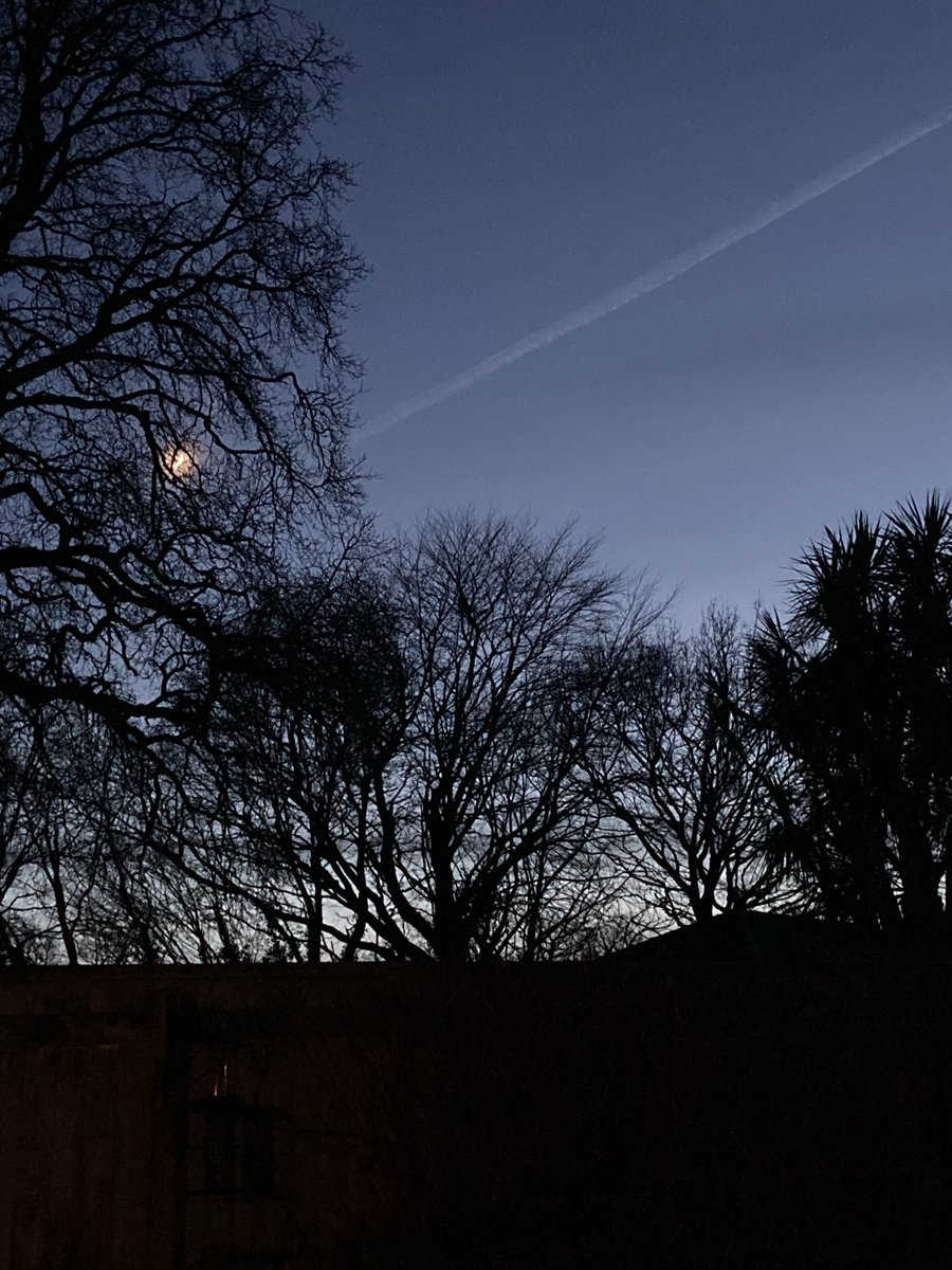 Well it’s pelting down on Day12 of #12DaysWild &amp; juggling phone, gloves &amp; leads will be rubbish so here’s my best memory of it &amp; at sunset yesterday 🌞🐾🥶🌚 we’ve walked from home every day to keep our carbon footprints down 🐾❤️ ⁦<a href="/WildlifeTrusts/">The Wildlife Trusts</a>⁩ ⁦<a href="/DevonWildlife/">Devon Wildlife Trust</a>⁩