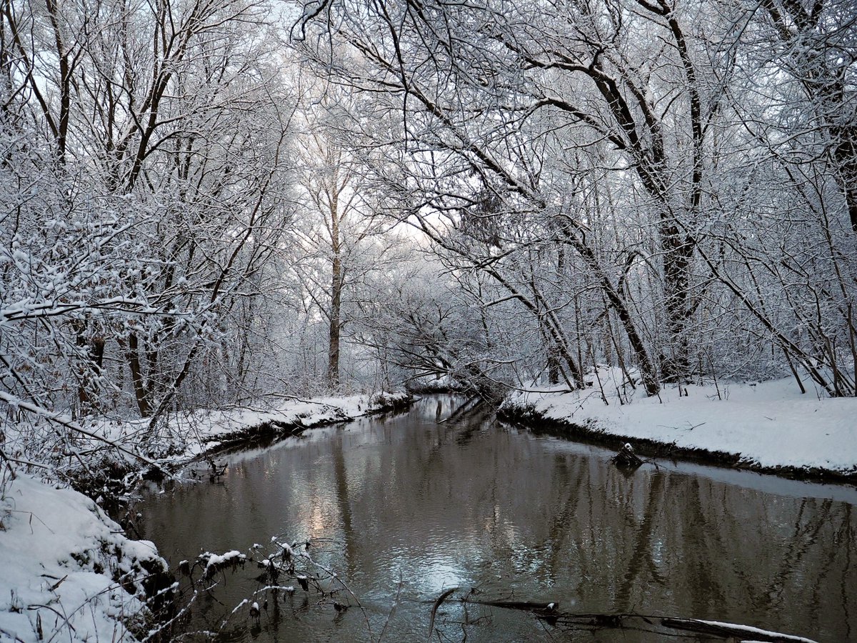 PEKHTography's tweet photo. While snow draped over trees like grandma's old quilt, the river acted like a stubborn toddler, refusing to freeze and insisting on splashing around
#river #serpent #playful #frosted #canopy #winter #chill #meandered #stillness #snake #wilderness #defied #freeze #giggling #snow https://t.co/3Ke6gJRgTC