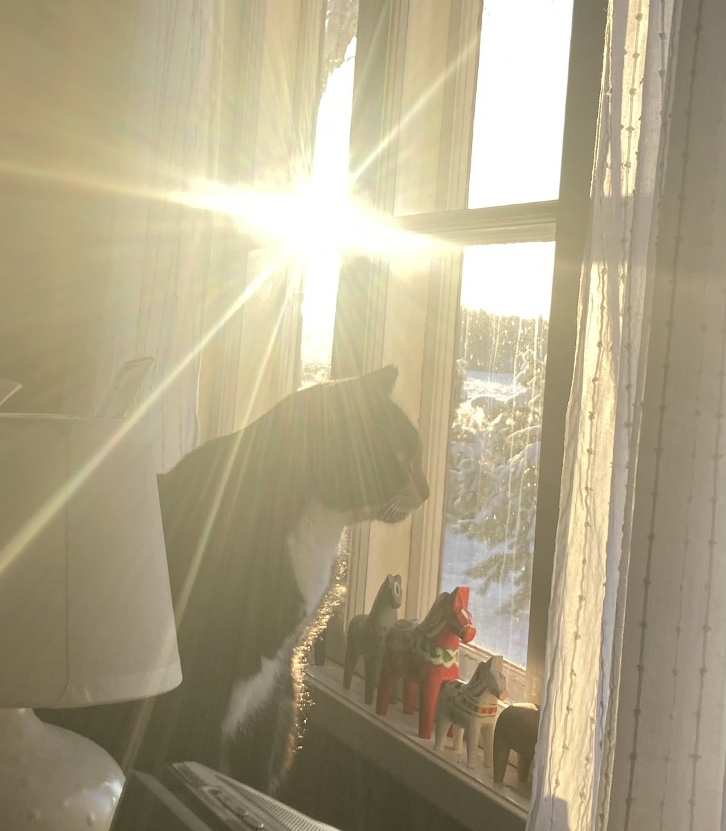 Katten stannar inne bland hästarna när det är arton grader kallt.