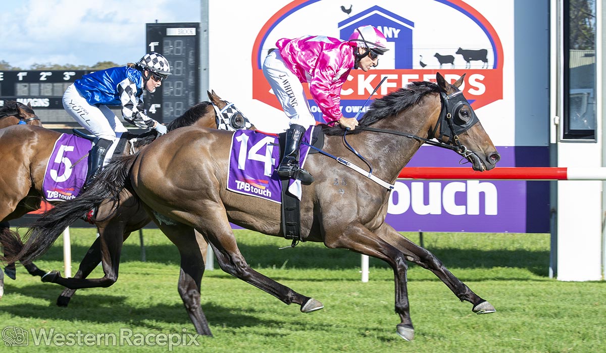 WesternRacepix's tweet photo. PLAYING RIO- Albany Sunday 5th January
@AlbanyRacing #WesternRacepix #FitzpatrickPlateDay                    

More 📸 https://t.co/XhRFkk00xX https://t.co/i6QYcISGKa