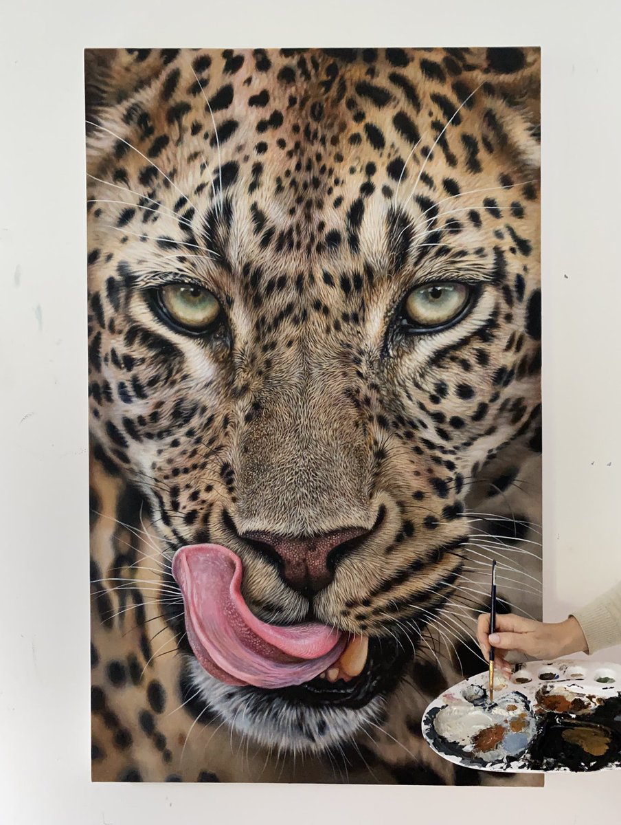 wildlife_art's tweet photo. Leopard acrylic painting on canvas - artist for scale 🎨 (original sold)
‘The aftermath’
https://t.co/9FkMQyLNLT
#leopardpainting #leopardart #leopards #art #realisticart #artistandart #artcreation #realismpaintings #wildlifepainting #artworkprocess #painting https://t.co/h5OXe9CNK5