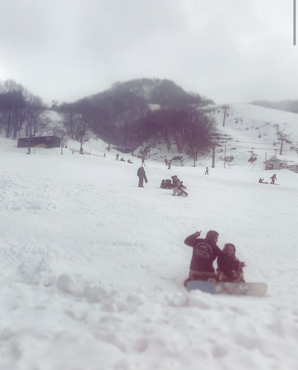 mavychan_'s tweet photo. 秘密基地とボードー https://t.co/TsD9eDDf24