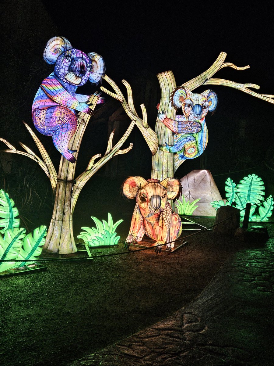 HenrieStaphorst's tweet photo. Genieten in @Ouwehand_Zoo tijdens de Light Nights.

#lightnightsouwehand #ouwehands #Rhenen https://t.co/m50gzwBWl3