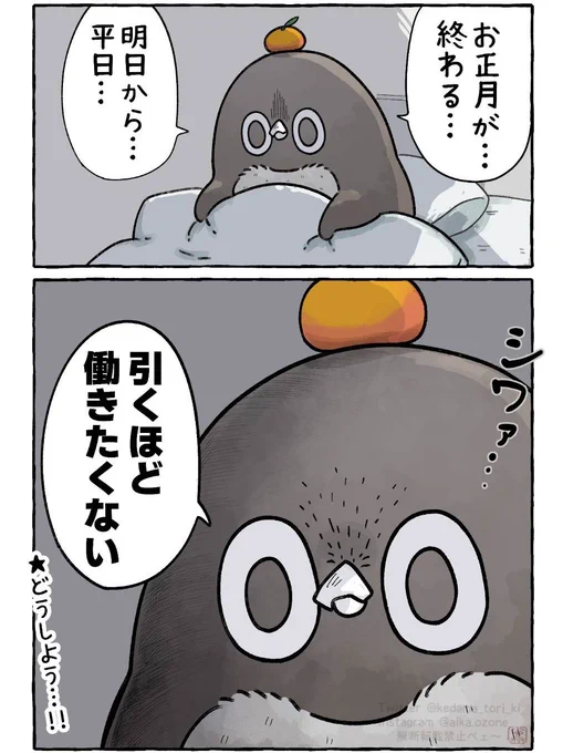 引くほど働きたくない
#虚無かわいいアデリーペンギン 
