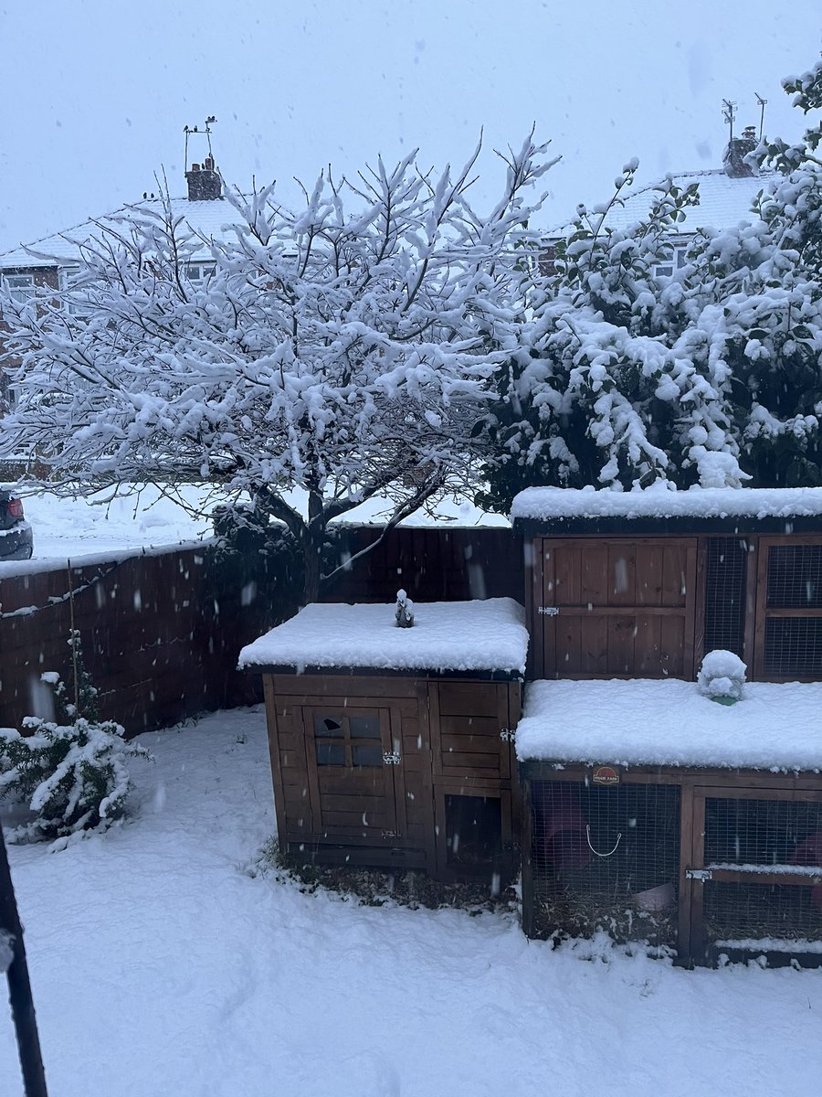 #uksnow ⛄️⛄️