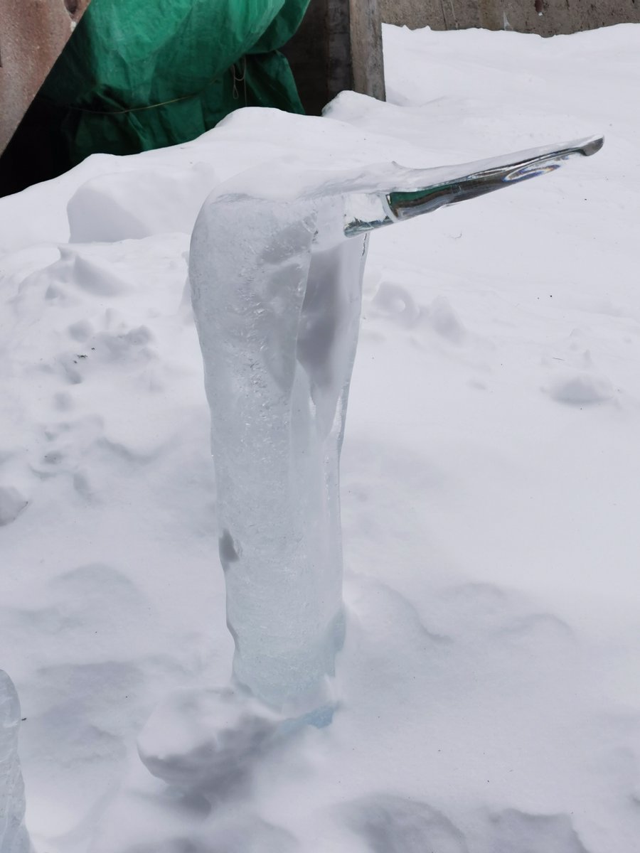 evasundin1's tweet photo. Heute will der Föhnsturm unseren Eisvorrat schmelzen.
#Fuorns https://t.co/n3sSjATJck
