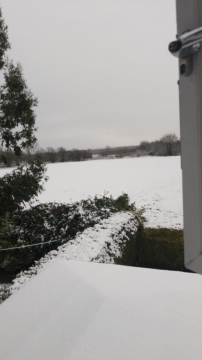 NotNormalBen's tweet photo. It seems to have snowed chat https://t.co/JTEYRhBPu2