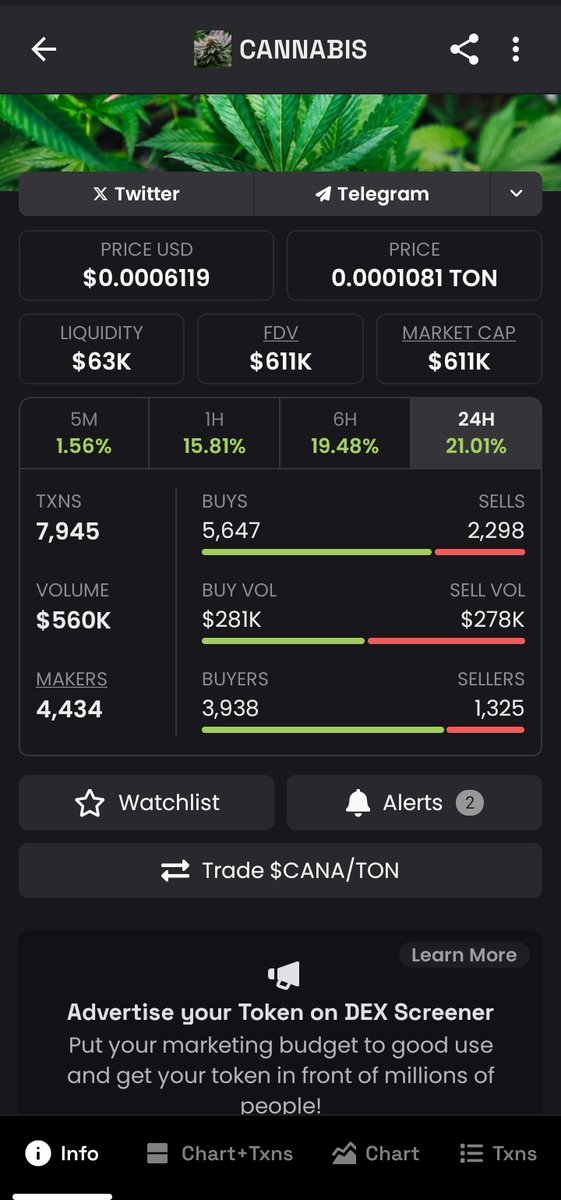 yabmannTPS100's tweet image. $CANA
$CANA
$CANA
$CANA
$CANA
$CANA
$CANA
$CANA
$CANA
$CANA
$CANA
$CANA
$CANA
$CANA
$CANA
$CANA
$CANA
"To everyone who sold their $CANA, sorry for your loss. But to those of us still holding, congratulations!"