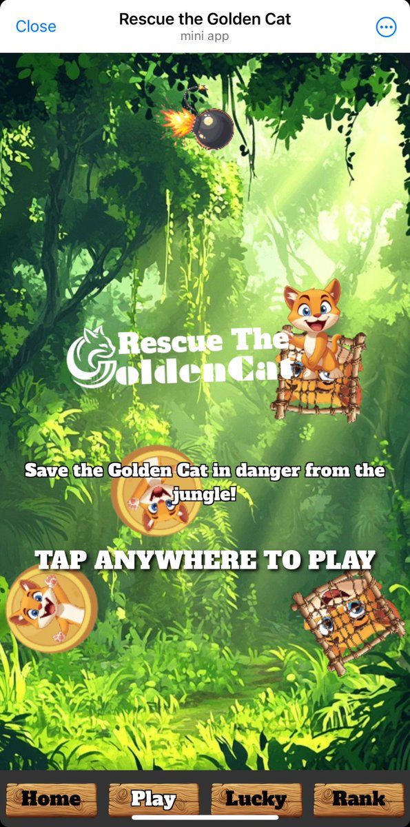 WildGoldenCat's tweet photo. Welcome to our first game!

🐱 “Rescue the Golden Cat” 🐱

🎮  https://t.co/LJVJTIpXGo 🎮

🐾 Save the Golden Cat and Become a Hero 🐾

🌴 Deep in the jungle, the Golden Cat has been trapped, and it needs your help!

🎁 Tap, Rescue, and Unlock Rewards as you free the cats from danger. But beware – some sneaky bombs are lurking!

👷‍♂️Every rescue brings you closer to the ultimate reward!

▶️ Ready to test your reflexes and save the day ?

#GoldenCat #GCT #TON #MiniApp #Game #Blockchain