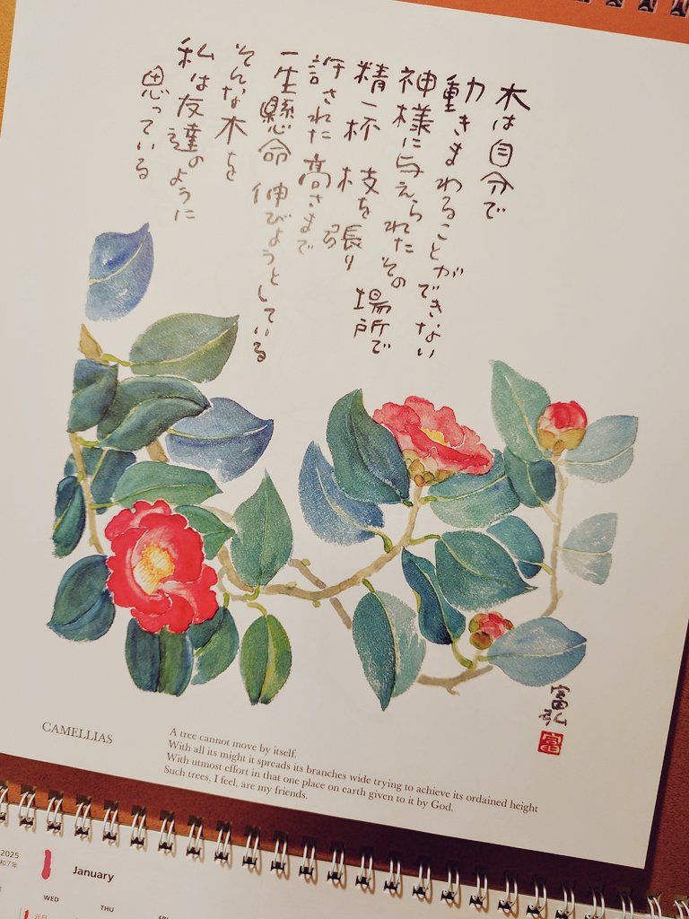kekosue's tweet photo. 少し遅れましたが、あけましておめでとうごさいます🎍🐍

今年は、何年も前から考えて準備をしてきたとても大切なイベントがあり、忙しくも心に残る年になりそうです。
大好きな星野富弘さんのカレンダーに癒されながら、日々を大切に過ごしたいと思います。

笑顔あふれる素敵な年になりますように✨ https://t.co/Y6ez1g9EHQ