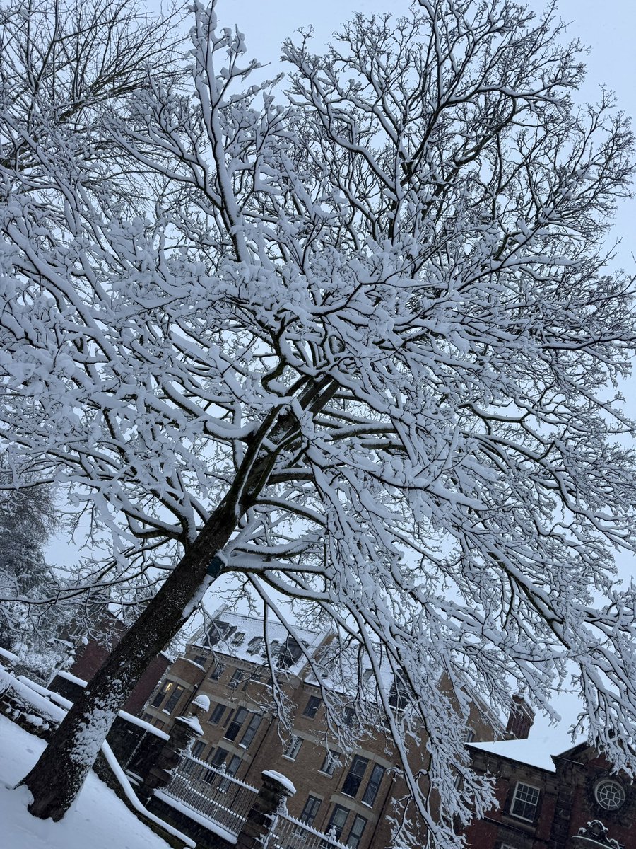 Dougs1086's tweet photo. Snowy ❄️☃️❄️ https://t.co/Aw0QKA0hzj