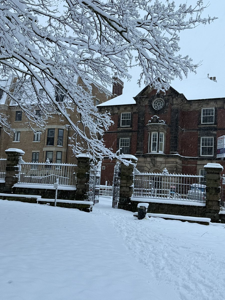 Dougs1086's tweet photo. Snowy ❄️☃️❄️ https://t.co/Aw0QKA0hzj