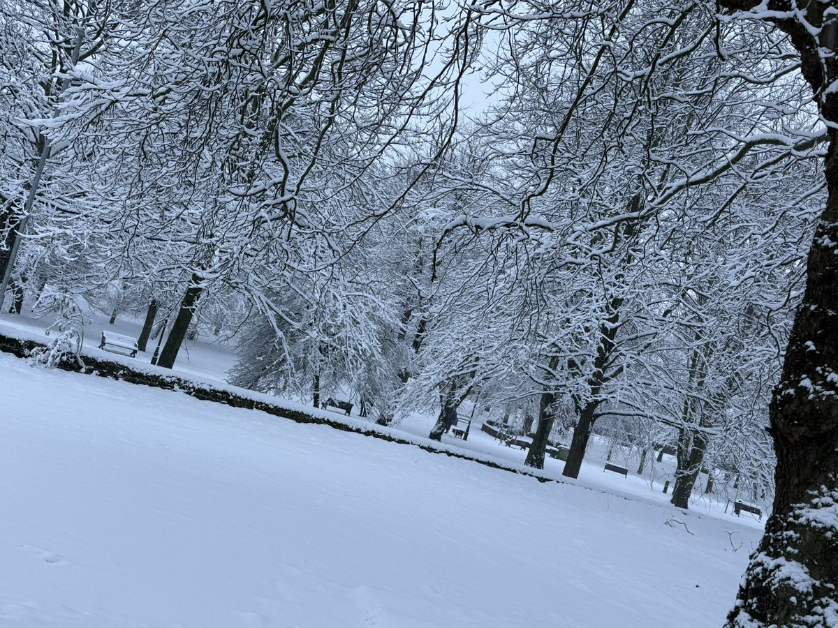 Dougs1086's tweet photo. Snowy ❄️☃️❄️ https://t.co/Aw0QKA0hzj