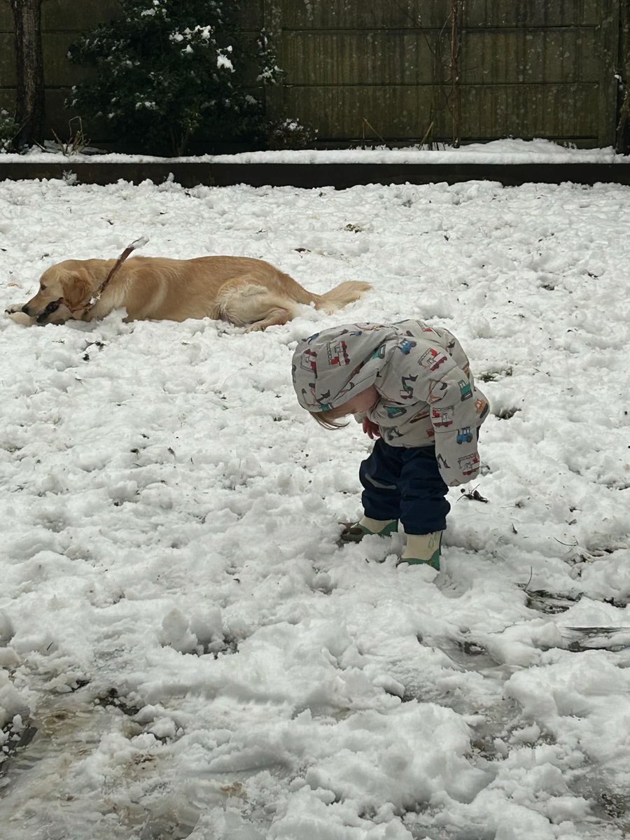 clairylou72's tweet photo. .@BHCohort3132  I hope you've all had a lovely Christmas and New Year. Are you enjoying the snow? My Grandson, Jaxon is seeing snow for the 1st time. I think he likes it! See you on Tuesday. #snowfun ❄️ https://t.co/qbY6bNjnW1