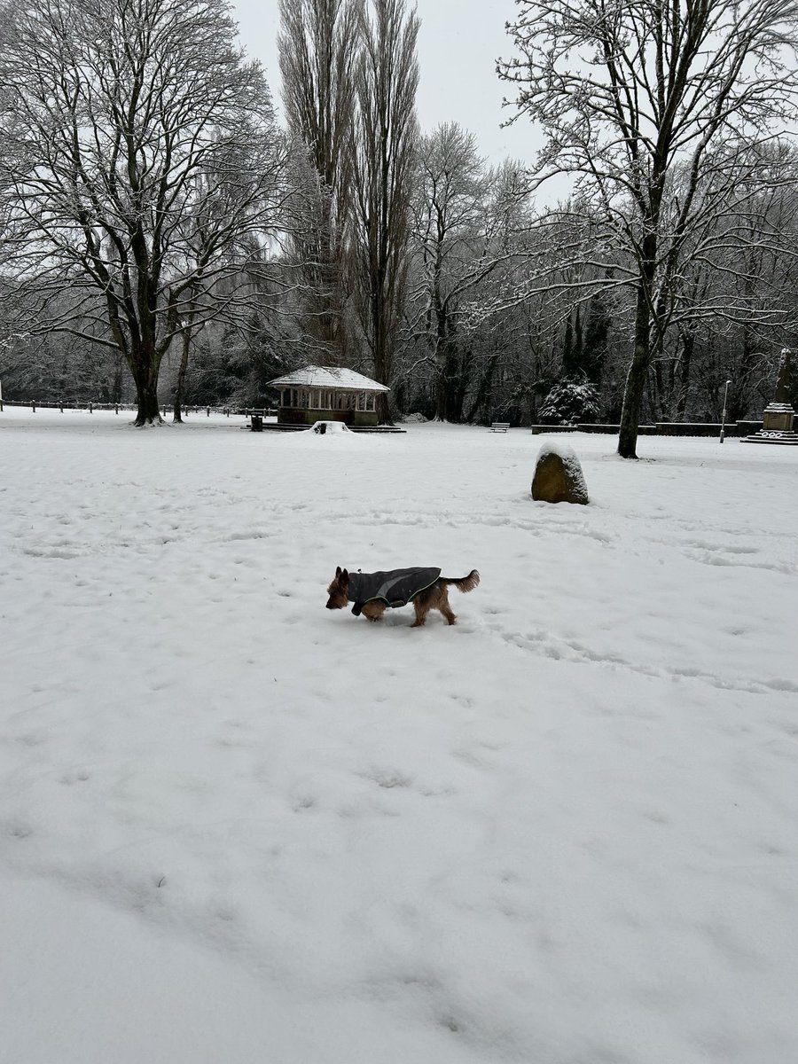 Fred’s not bothered by the weather warnings, in fact he quite likes the snow!