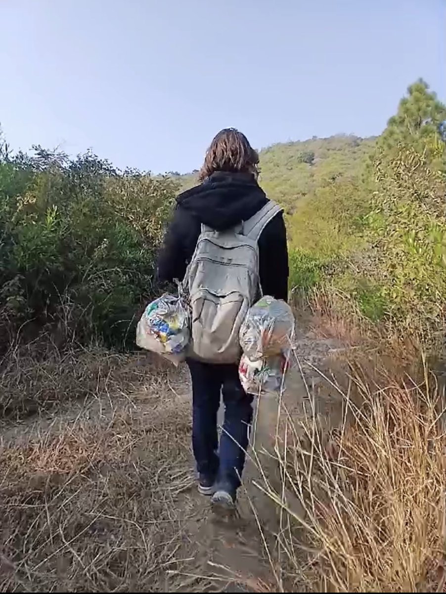 Poke Plastic tweet media