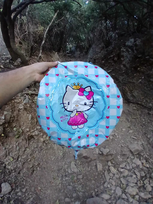 Image from Poke Plastic (@pokeplastic)
