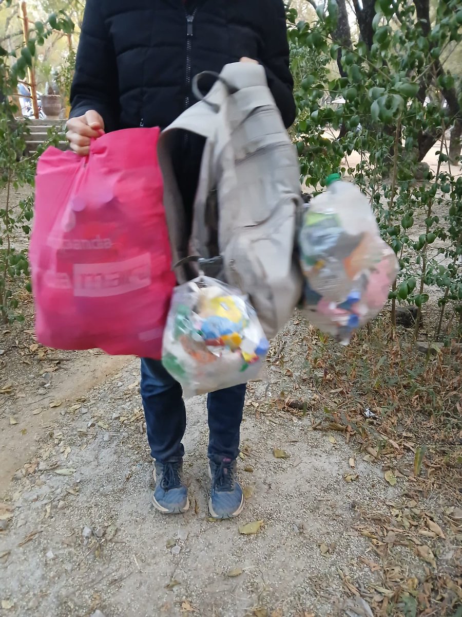 Poke Plastic tweet media