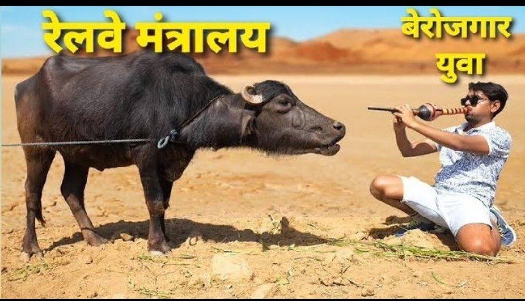 Imprthakur's tweet photo. भाइयों , पहली बार 1M+ पोस्ट के बावजूद हमारा #Iti_Qualification_In_GroupD
No.1 पर नहीं आना, एक गहरी साजिश है!  
यह सिस्टम की चाल है, हमारी आवाज़ दबाने की कोशिश है!  #Iti_Qualification_In_GroupD #Iti_Qualification_In_GroupD https://t.co/3fZYSO8iv2