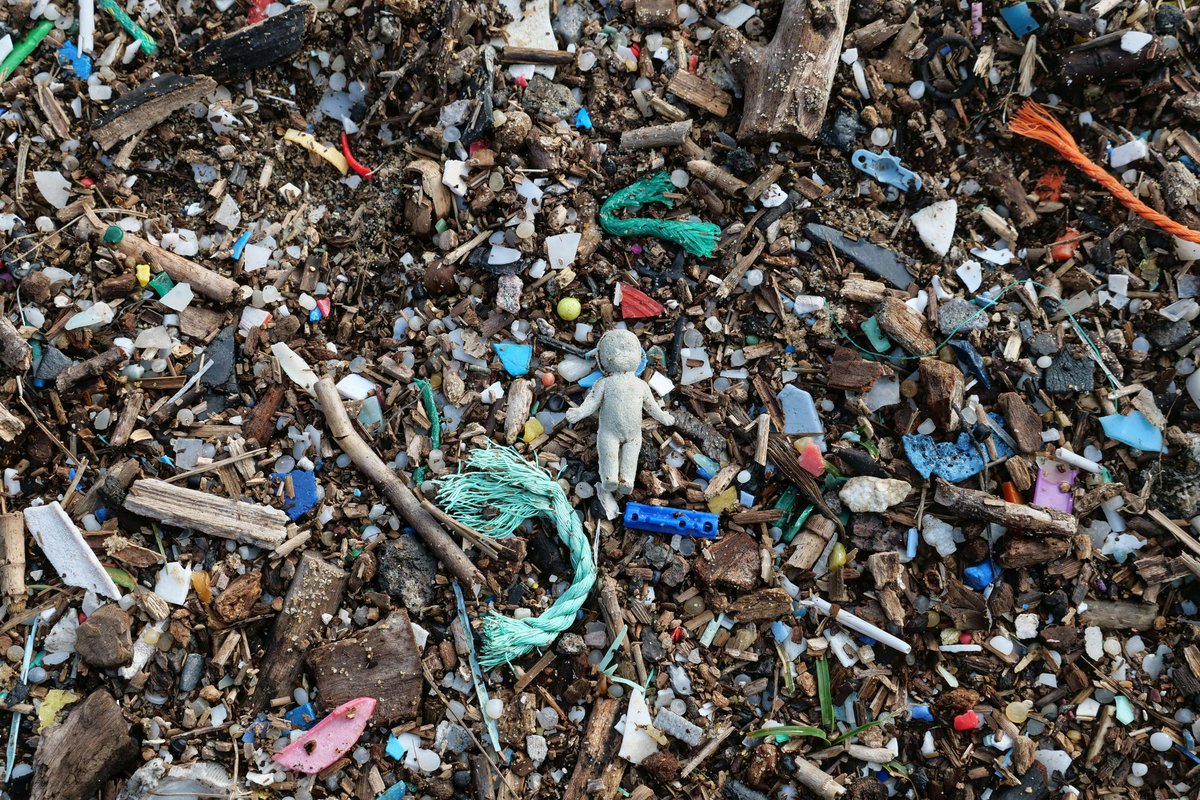 SeeOnSea's tweet photo. Chaque minute, l’équivalent d’un camion-poubelle de plastique est déversé dans l’océan. 🛑

Avec SeeOnSea, sensibilisons ensemble pour réduire l’impact humain sur la biodiversité 🌍🌱

#StopPollution 
#Biodiversity https://t.co/JurPwPH3dl