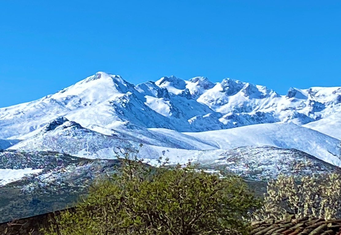 Queridos Reyes Magos:
Mis pacientes de pueblecitos de la Sierra de Gredos han sido buenos este año. 
Han luchado por sus campos y su ganado, por sus hijos y sus ancianos.
Os pido,Majestades, que vuestros mandatarios se acuerden de vez en cuando de las gentes humildes pero nobles.