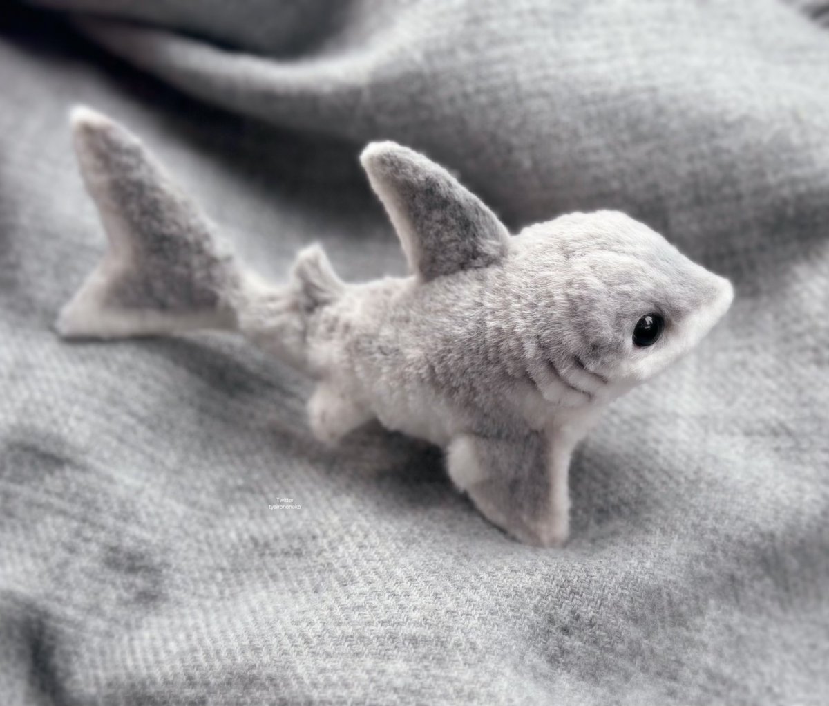 tyairononeko's tweet photo. 新しい子です🦈
この子は小型の陸上サメの一種。乾燥や日光から皮膚を保護するため体表は細かな毛に覆われています。
サメなので後ろヒレで起立したり走ったりすることもできます！
意外と丈夫で人慣れするのでサメ初心者でも飼いやすいらしい…
よろしくお願いします！ https://t.co/LbhGLo3AVM