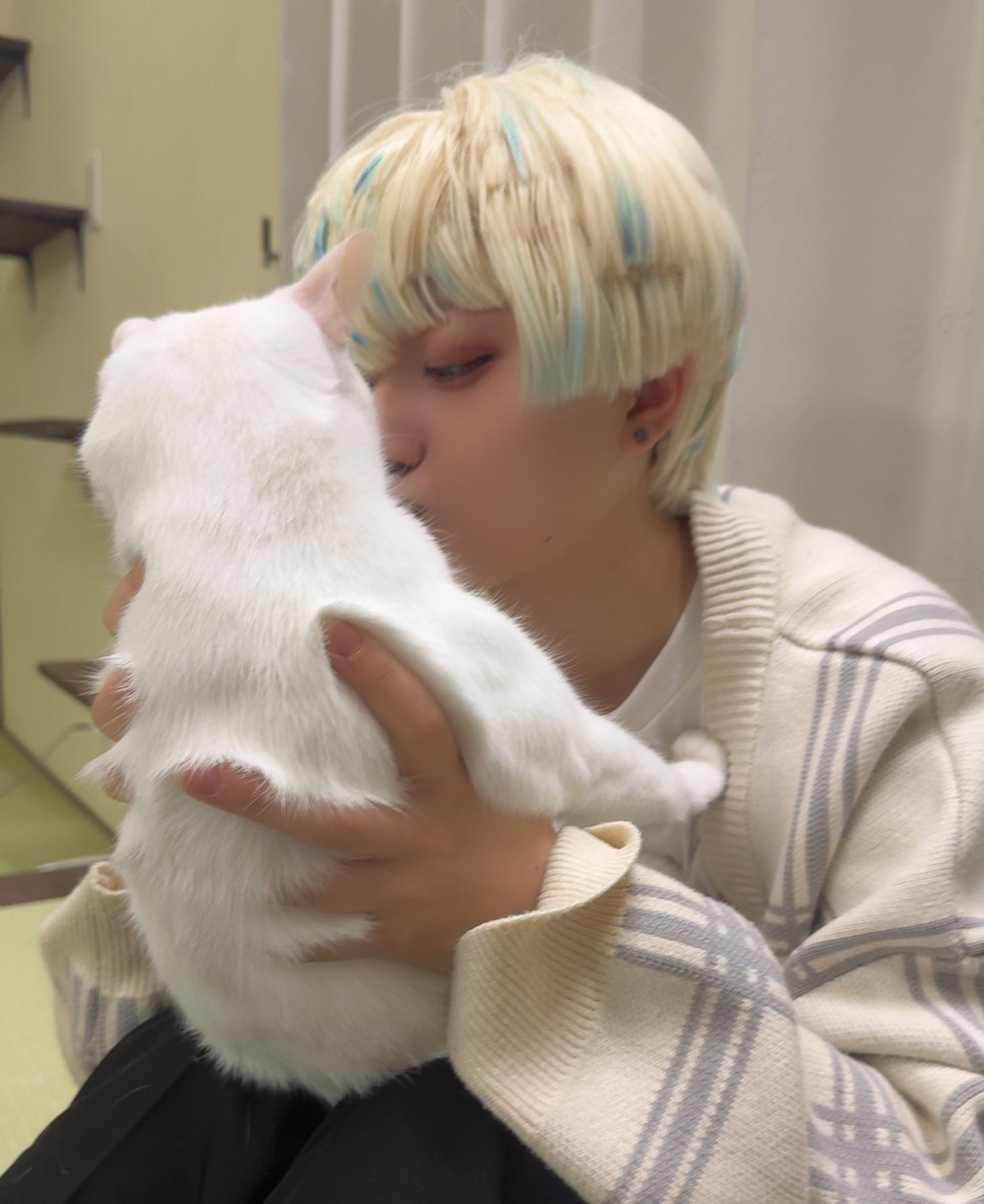 Jino88122's tweet photo. ⚠︎︎cos https://t.co/QF29UwsStQ
