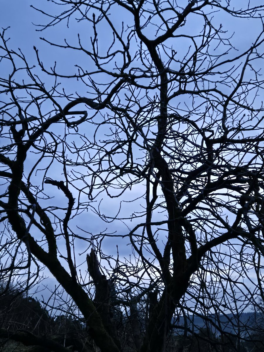 Thoughts can get tangled. That's not necessarily a bad thing. So long as I find the time and space to let those thoughts unfold. And so I can stand back and see things in a different light.