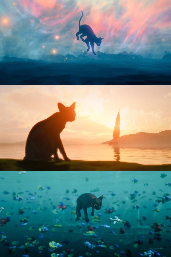 FLOW (2024)
🎥 Glints Zilbalodis.

#Flow is the most visually spectacular movie of 2024.

And for me it ranks among the best animated movies ever created.