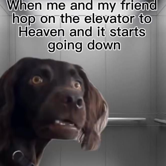 Satan (@s8n) on Twitter photo 