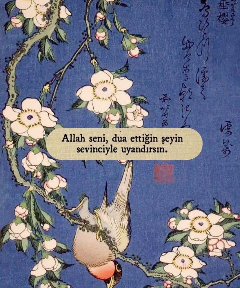 melinastro's tweet photo. Amin diyelim https://t.co/bIwA48cSX4