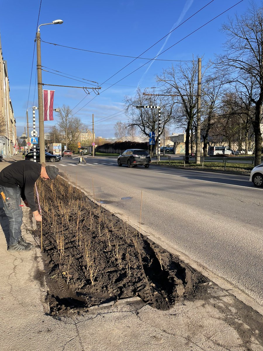MartaKotello's tweet photo. @ZemGun @kurkaspars @Villiams_V Stāsts sākās ar pašvaldības sakoptu apdobi Pērnavas ielā. Iestādija vēlā rudenī krūmus, bet neuzlika norobežojumu. Tā apdobe tika konstanti izbraukāta un iestādot krūmus tas turpinājās. Mēs fiksi noreaģējām un salikām sētu, ko pašvaldība atzina par labu esam. https://t.co/l8XEG7srkV