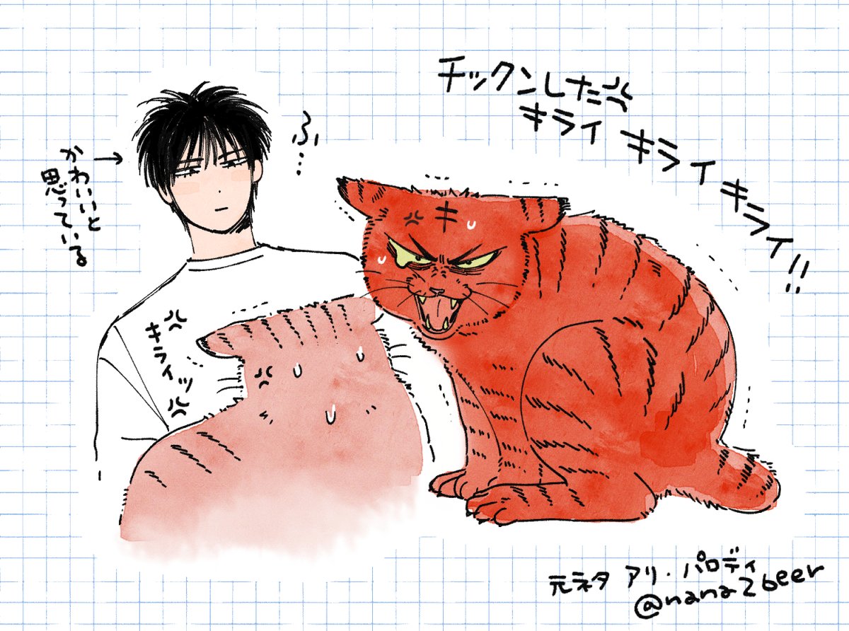 キライ！って一生懸命伝えてくる猫ちゃん好きすぎる（流花）